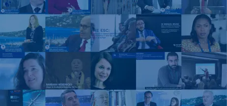 The GCSP's 2018 year in review