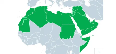 Weak Civil Society Engagement and Public Awareness of WMD Disarmament in the Arab World: Anomaly or Global Phenomenon?